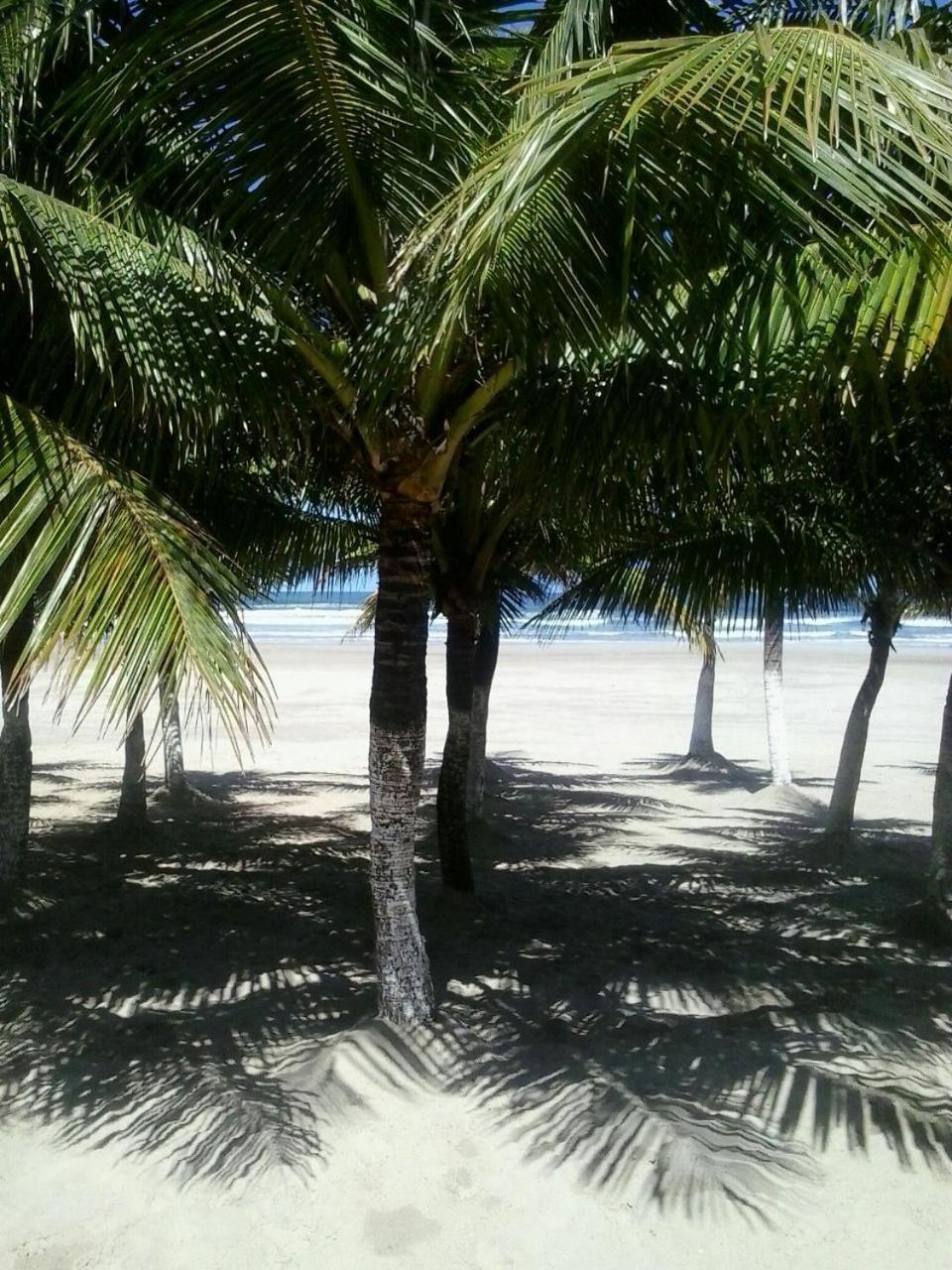 Frente Mar Piscina Churrasqueira Wifi Garagem Portaria 24Hs Appartamento Solemar Esterno foto